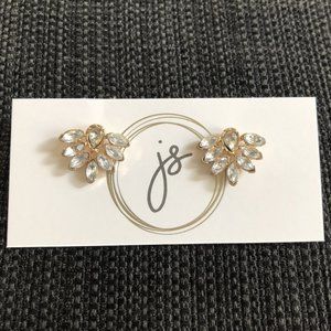 Fancy Earrings